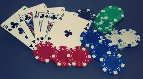 onebet